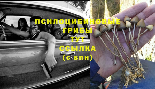 шишки Медвежьегорск
