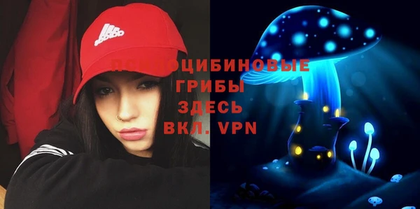 крисы Абинск