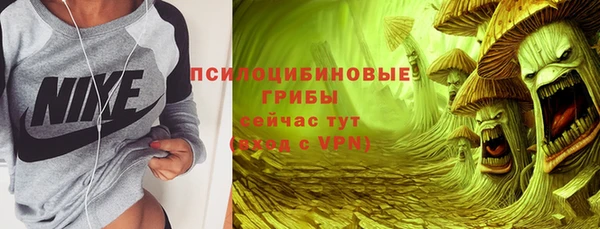 мяу мяу мука Тайга