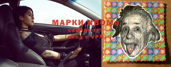 шишки Медвежьегорск