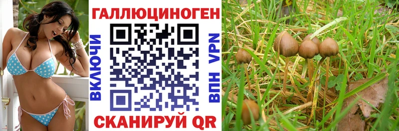 Псилоцибиновые грибы ЛСД  OMG онион  Воронеж 