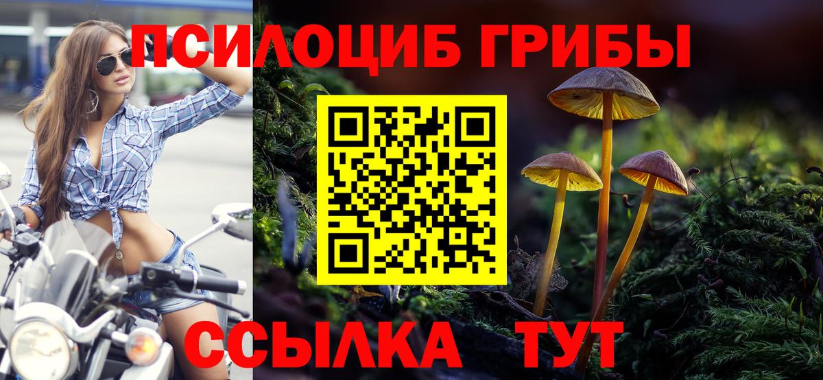 Галлюциногенные грибы прущие грибы Воронеж