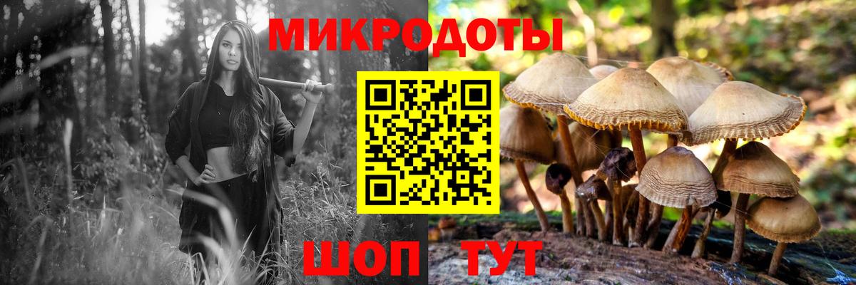 Псилоцибиновые грибы прущие грибы  Вход с VPN  Воронеж 
