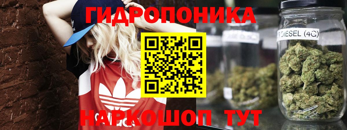 Каннабис гибрид Воронеж
